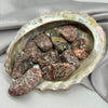 Small Tumbled Leopard Skin Japer Crystals