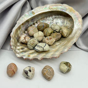 Tumbled Thunder Egg Crystal