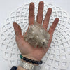 Smoky Quartz Tinge Floater Rocks & Fossils