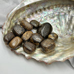 Tumbled Stromatolite