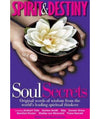 Spirit & Destiny Soul Secrets by Emily Anderson Books
