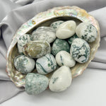 Tumbled Tree Agate