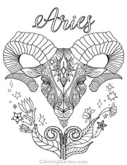 Aries Colour In