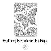 Butterfly Adult Colouring In
