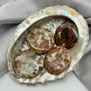 Tumbled Garnet In Limestone Palm Piece